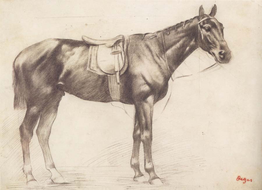Horse with Saddle and Bridle